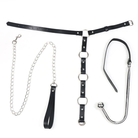 Anal Hooks Leash Hook 5853 and EverydayUse Kinky with Anal Collar 0913